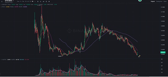 比特币逆势上扬：9月行情打破Rektember魔咒