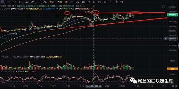 东方MIMIC能否复制无聊猿神话？解密WEB3时代的造富密码