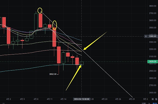 当加密世界遇见神秘黑猫：新加坡Token2049现场直击