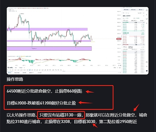 比特币逆势突围：市场寒冬中的倔强反弹