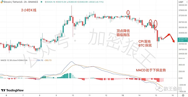 当艺术遇上资本：加密货币的文艺复兴之路