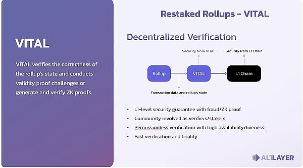 比特币即将回调？深度解析主力操盘手法及最佳入场时机
