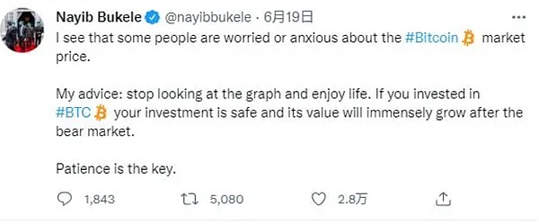 加密货币正在重演美股分化史？这场大象起舞的游戏才刚刚开始