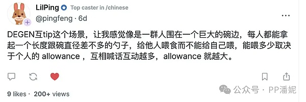 山寨币的狂欢与幻灭：一个老韭菜的血泪教训