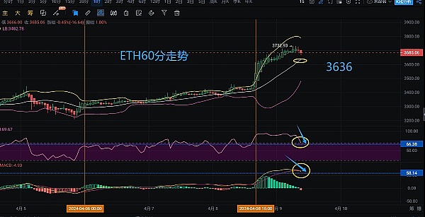Meme币投资指南：小资金如何在大牛市分一杯羹？