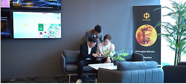 加密世界的江湖风云录：我在熊市中的深度观察
