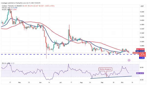 Scroll主网上线首周：揭秘用户都在玩什么？