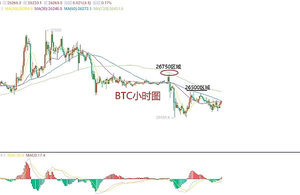 IOST双周动态：生态建设再提速，这些进展值得关注