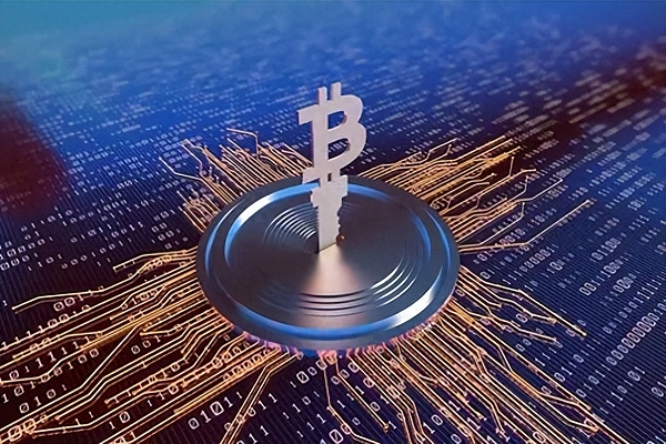 当合约遇上口诀：一个老韭菜的生存指南